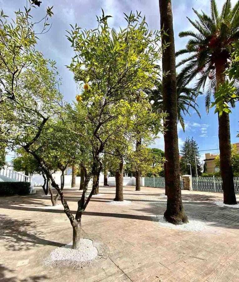 Nuevo Los Almendros 204 Complejo Turistico Apartment Cordoba Ngoại thất bức ảnh