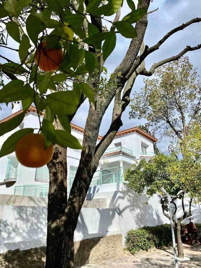 Nuevo Los Almendros 204 Complejo Turistico Apartment Cordoba Ngoại thất bức ảnh